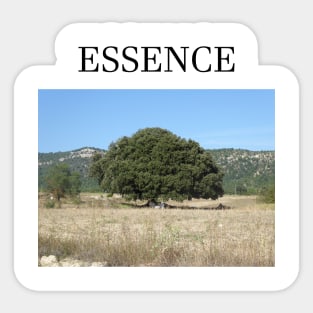 ESSENCE Sticker